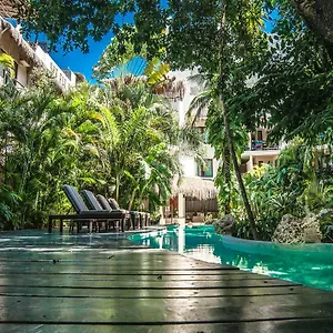 La Tortuga & - Adults Only 4*, Playa del Carmen Mexico